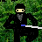 icon 3D Ninja 1.2