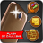 icon com.papps.citypappsflashcallsms 8.1