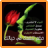 icon com.konyonta.hikam 1.0