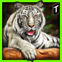 icon Super Tiger Sim 2017