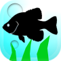 icon Fishing Traveler لـ Huawei Honor WaterPlay