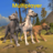 icon Dog Multiplayer 1.1