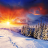 icon Winter Wonderland FREE 1.7.6