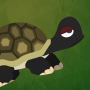 icon Grumpy Turtle لـ qmobile M6 Lite