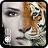 icon InstaFace 3.7.1.2