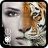 icon InstaFace 3.7.1.2