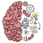 icon Brain Test 2.749.0