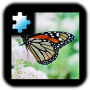 icon Butterfly