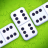 icon Dominoes Master 1.1.5