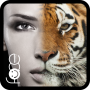 icon InstaFace