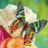 icon Butterfly Jigsaw Puzzles 2.14.00