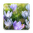 icon Spring Landscapes Live Wallpaper 1.0.7