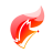 icon FoxLive 1.1.2