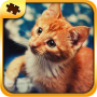 icon Cat Puzzles - Jigsaw لـ karbonn K9 Smart Selfie