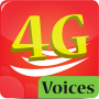 icon 4GVOICE