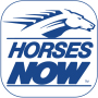 icon Horses Now
