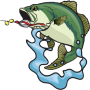 icon Bass Fishing Beginners