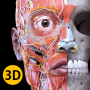 icon Anatomy 3D Atlas لـ LG Stylo 3 Plus