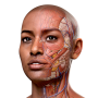 icon Complete Anatomy 2024 لـ swipe Elite VR