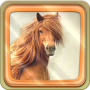 icon Horses Live Wallpaper