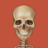 icon iOrthoPlus 2.6.10