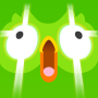 icon Duolingo: Language Lessons لـ Assistant AS-5435 Shine