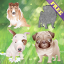 icon Puppy Puzzles for Toddlers