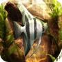 icon HD Aquarium Live Wallpaper 3D لـ Maxwest Nitro 55M