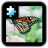 icon Butterfly 2.0
