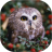 icon Owls live wallpaper 4.3