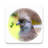 icon zoomnova.birdsringtones 15.0