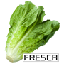 icon Lechuga Paralela