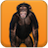icon Talking Monkey 3.2