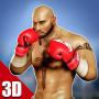 icon Boxing 3DReal Punch Games
