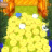 icon Coin Fever 1.22